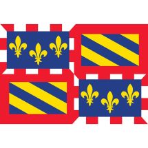 Fahne Region Bourgogne Frankreich